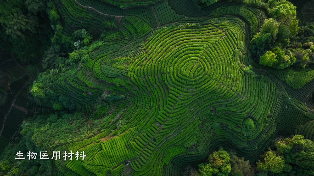 生物医用材料