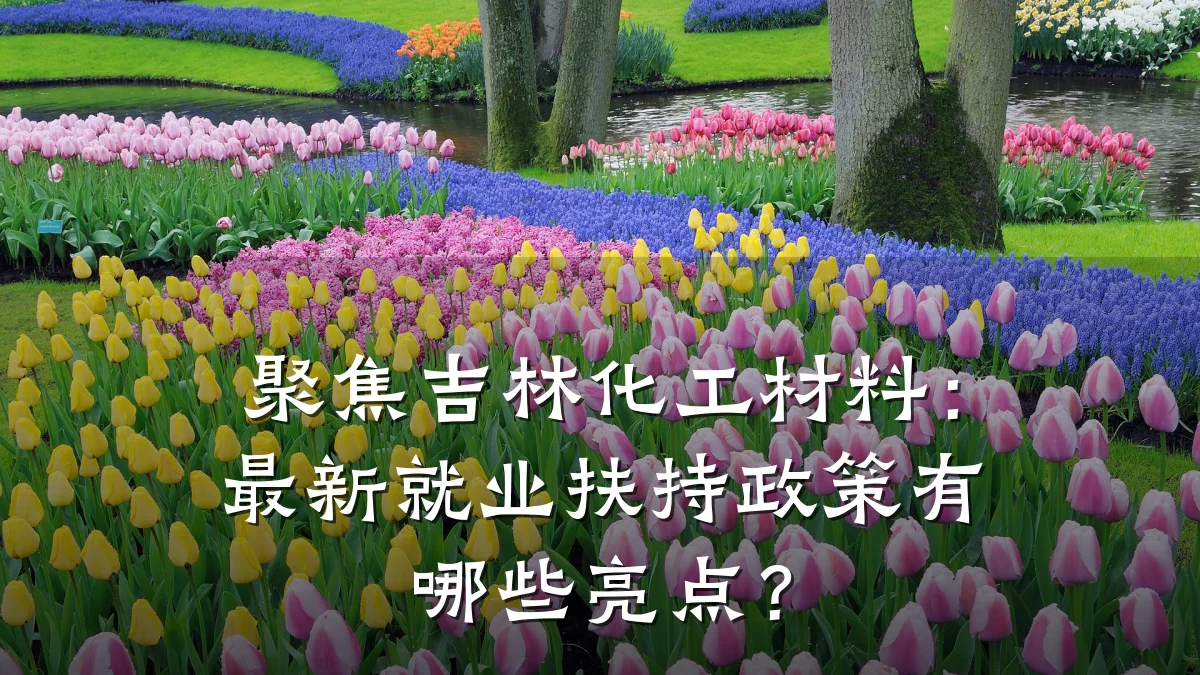 聚焦吉林化工材料：最新就业扶持政策有哪些亮点？