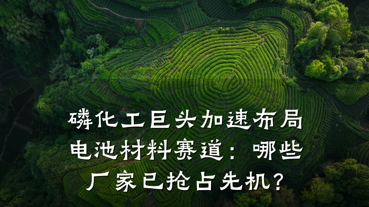 磷化工巨头加速布局电池材料赛道:哪些厂家已抢占先机?