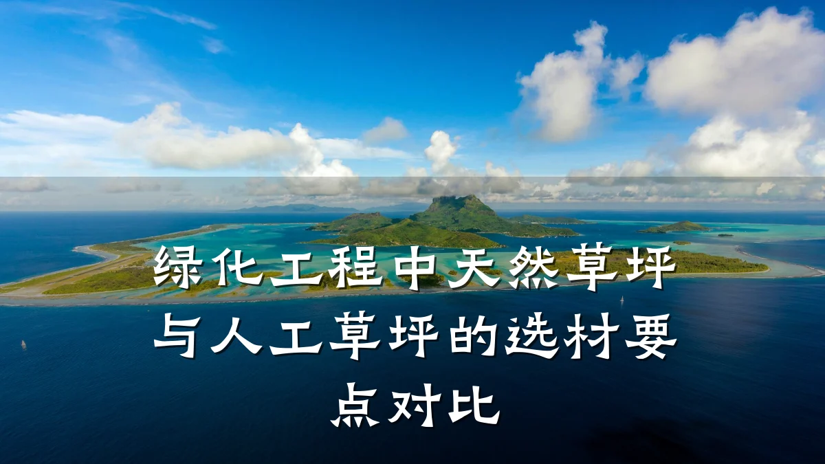 绿化工程中天然草坪与人工草坪的选材要点对比