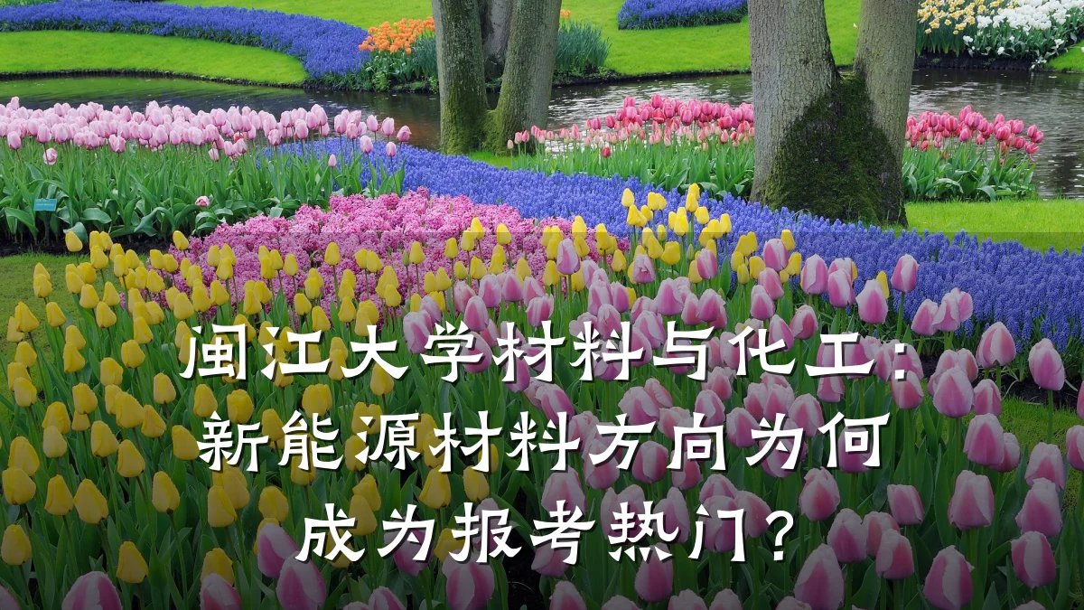 闽江大学材料与化工：新能源材料方向为何成为报考热门？