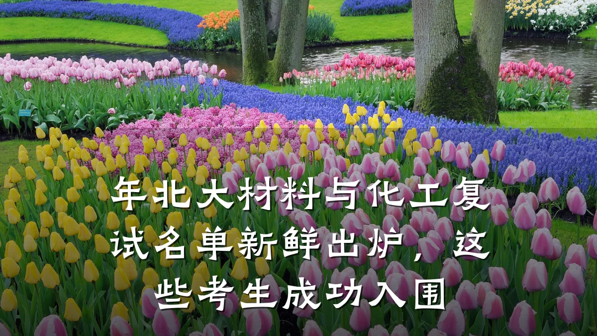 年北大材料与化工复试名单新鲜出炉，这些考生成功入围