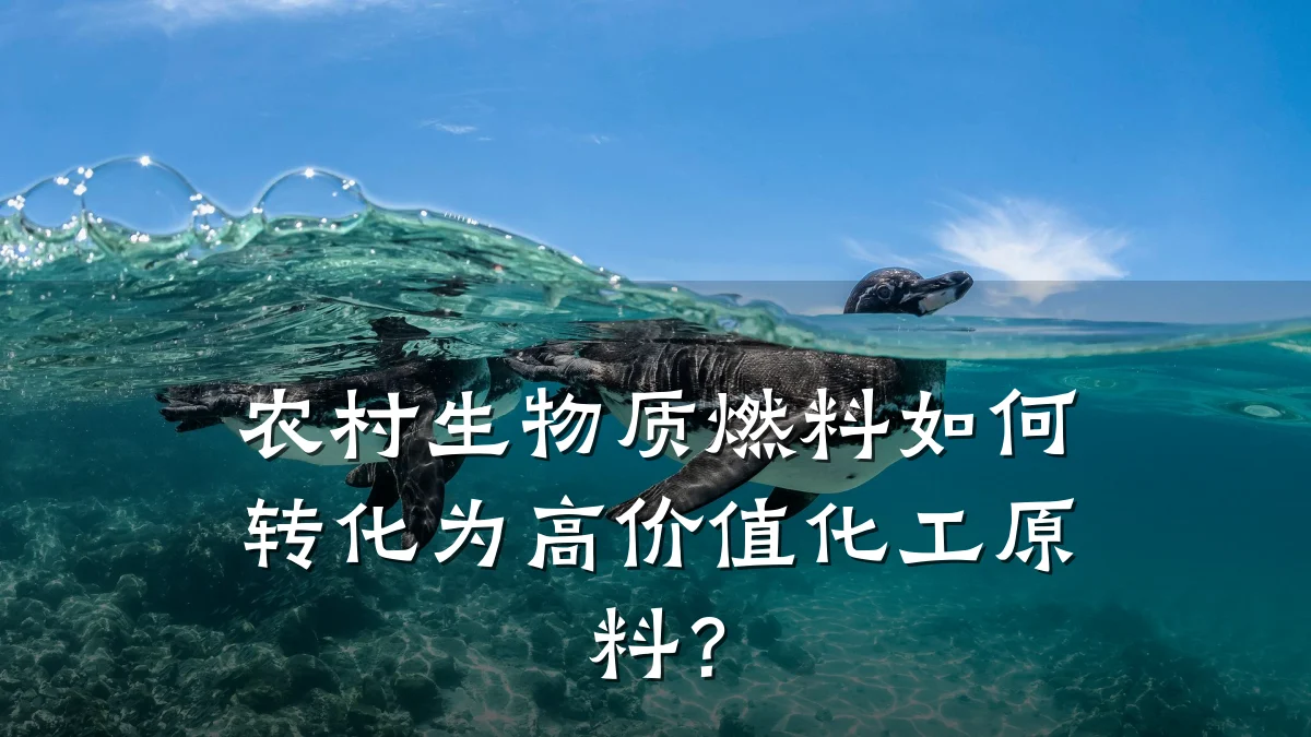 农村生物质燃料如何转化为高价值化工原料？