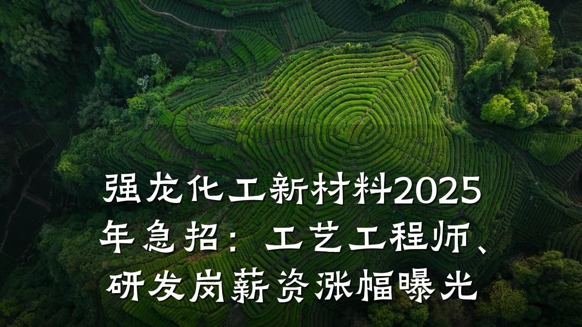 强龙化工新材料2025年急招：工艺工程师、研发岗薪资涨幅曝光