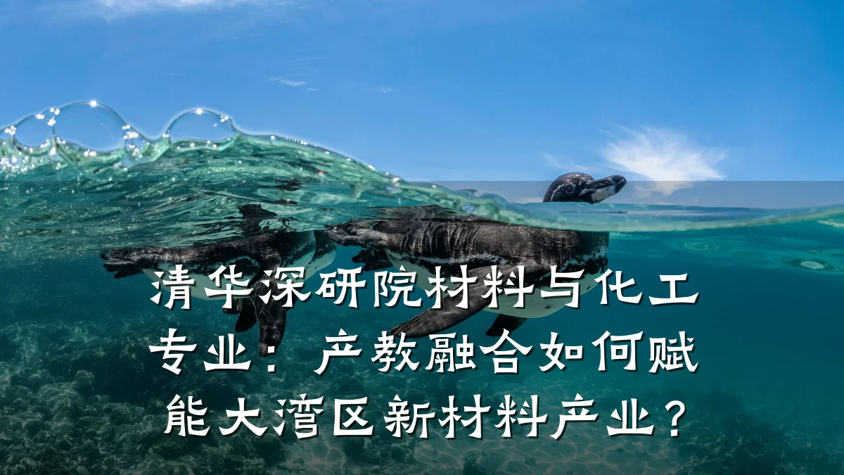 清华深研院材料与化工专业：产教融合如何赋能大湾区新材料产业？