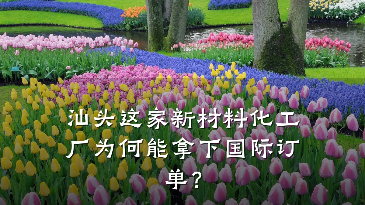 汕头这家新材料化工厂为何能拿下国际订单?