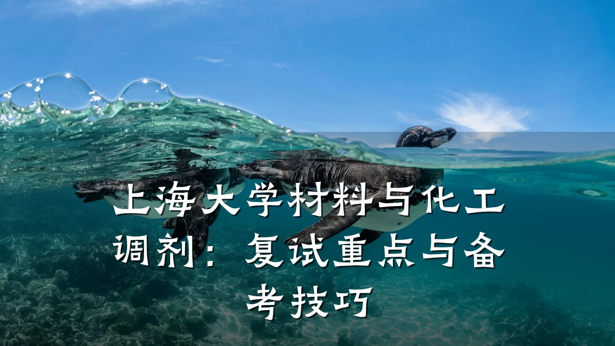 上海大学材料与化工调剂：复试重点与备考技巧