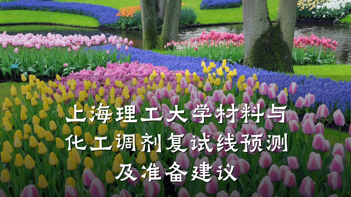 上海理工大学材料与化工调剂复试线预测及准备建议