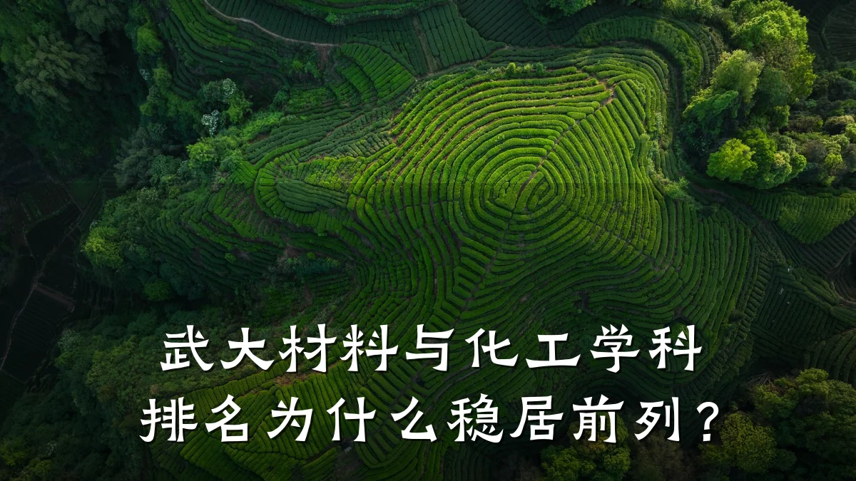 武大材料与化工学科排名为什么稳居前列？