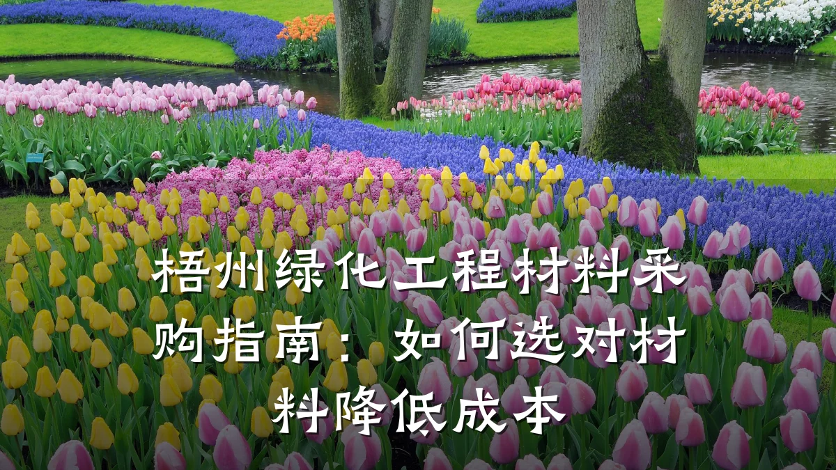 梧州绿化工程材料采购指南:如何选对材料降低成本