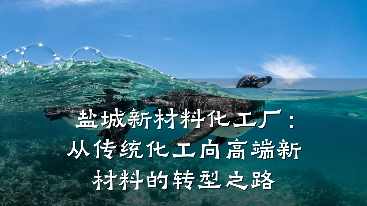盐城新材料化工厂：从传统化工向高端新材料的转型之路
