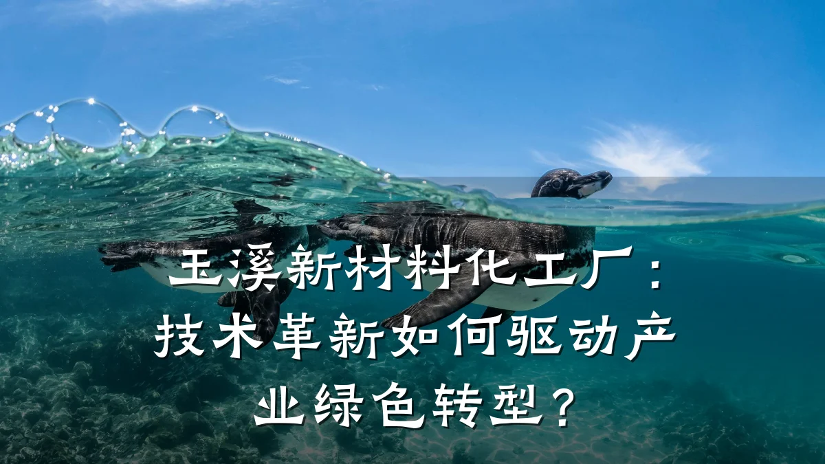 玉溪新材料化工厂：技术革新如何驱动产业绿色转型？