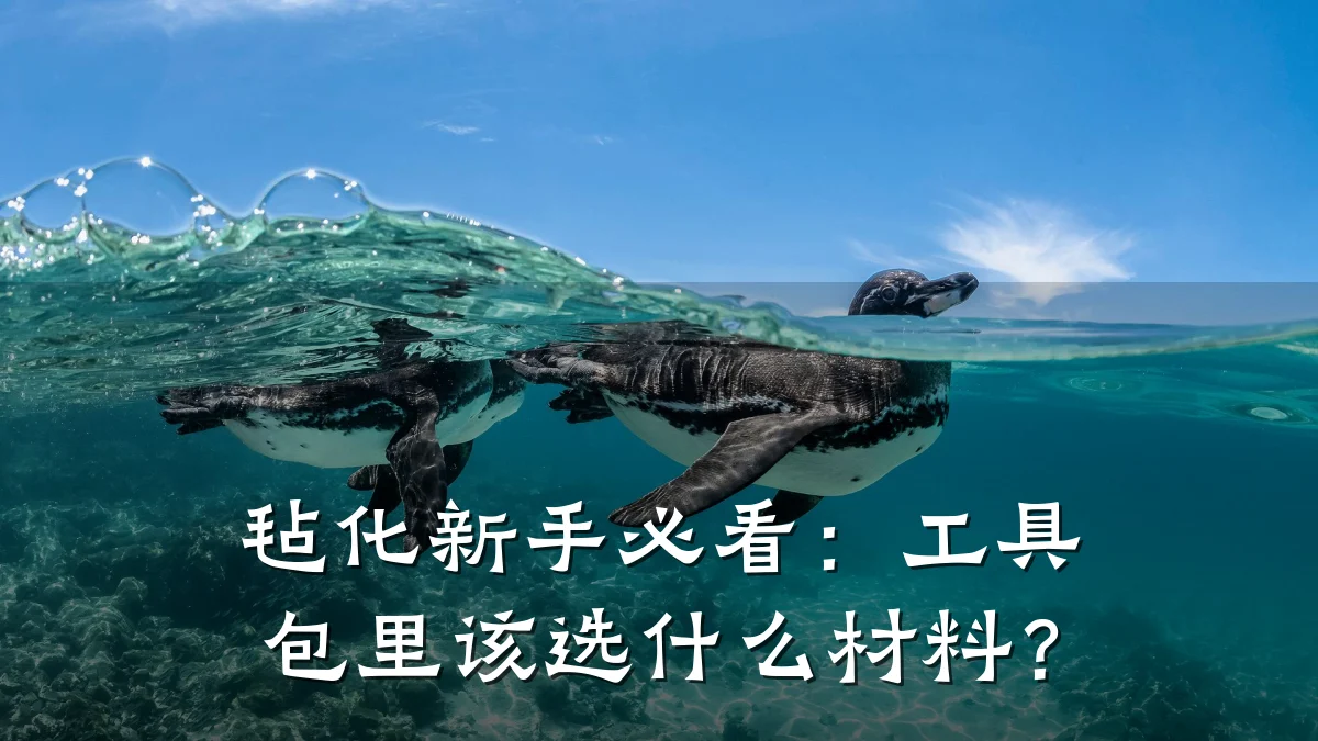 毡化新手必看：工具包里该选什么材料？