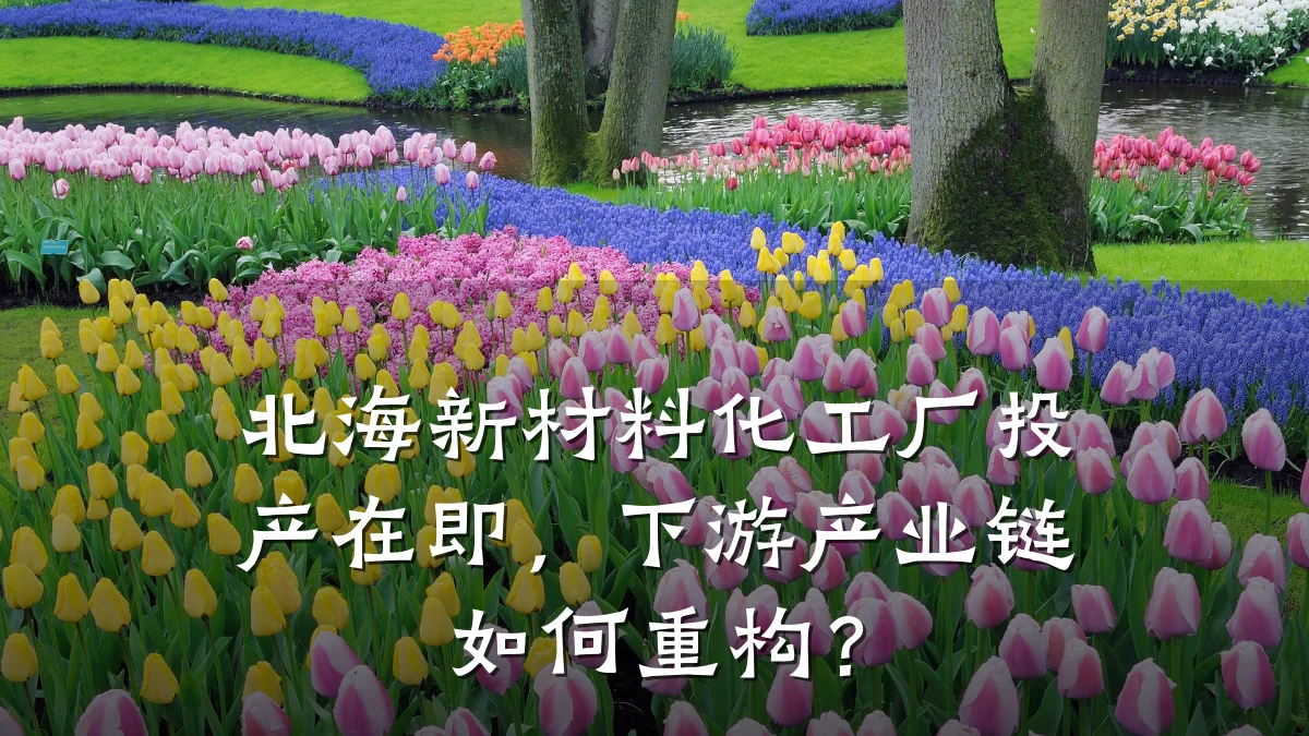 北海新材料化工厂投产在即,下游产业链如何重构?