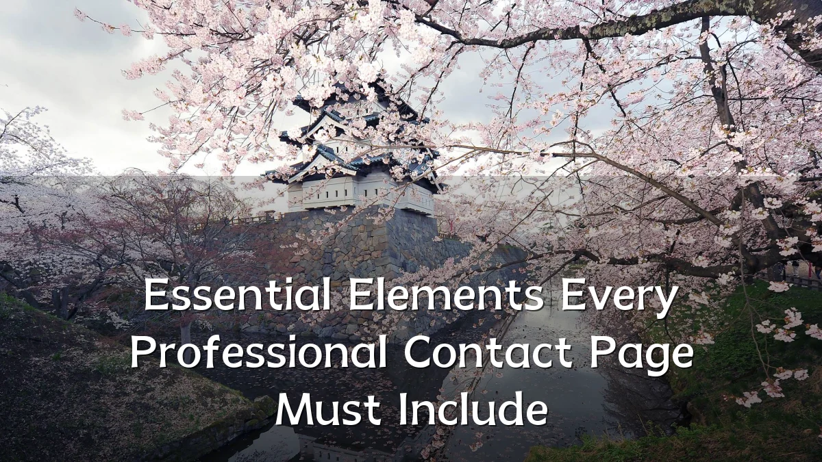 Essential Elements Every Professional Contact Page Must Include