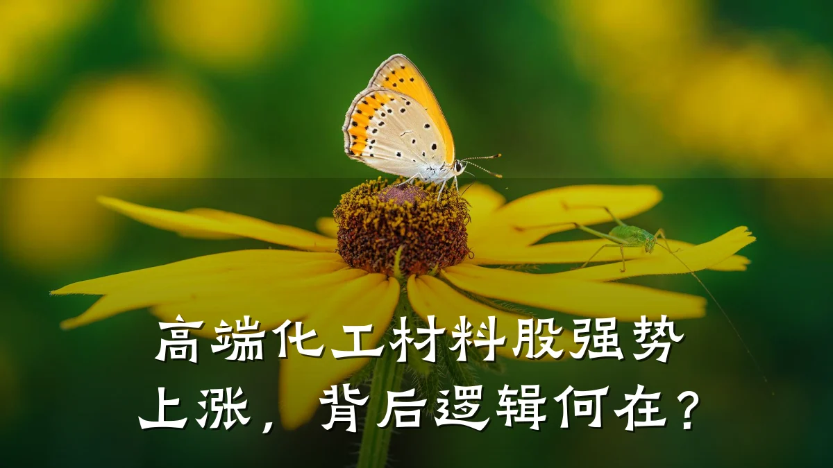 高端化工材料股强势上涨，背后逻辑何在？