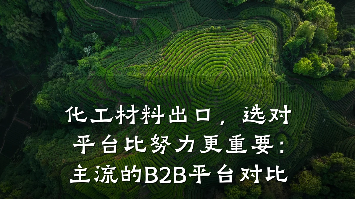 化工材料出口，选对平台比努力更重要：主流的B2B平台对比