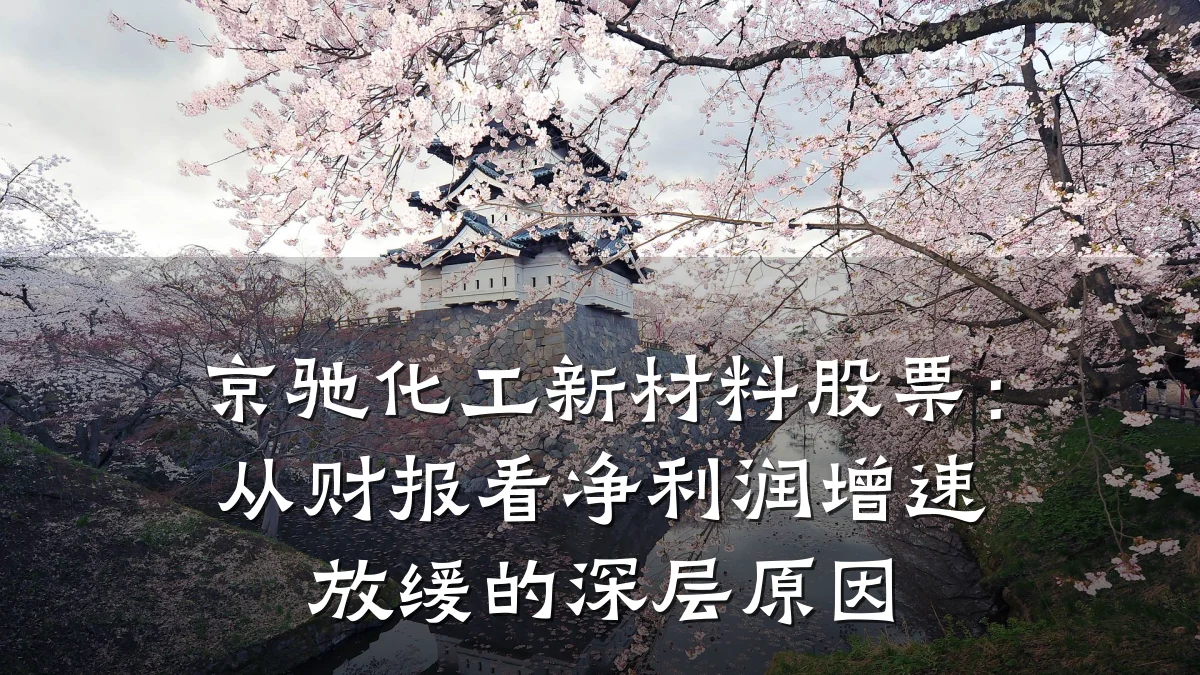 京驰化工新材料股票:从财报看净利润增速放缓的深层原因