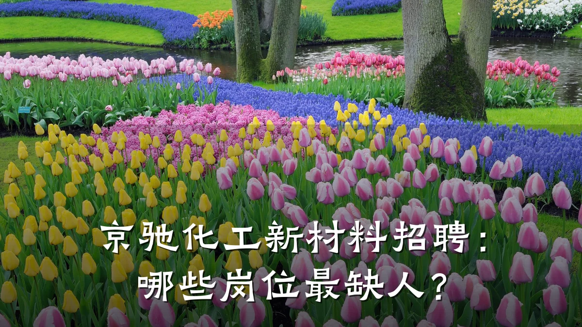 京驰化工新材料招聘：哪些岗位最缺人？