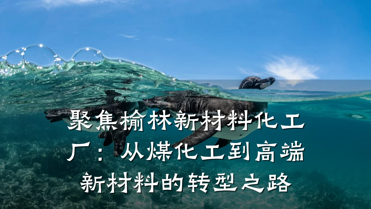 聚焦榆林新材料化工厂：从煤化工到高端新材料的转型之路