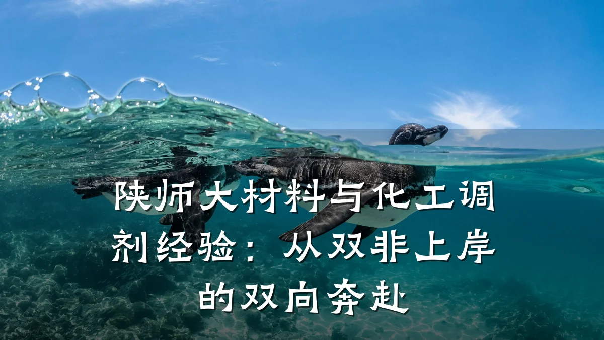 陕师大材料与化工调剂经验：从双非上岸的双向奔赴