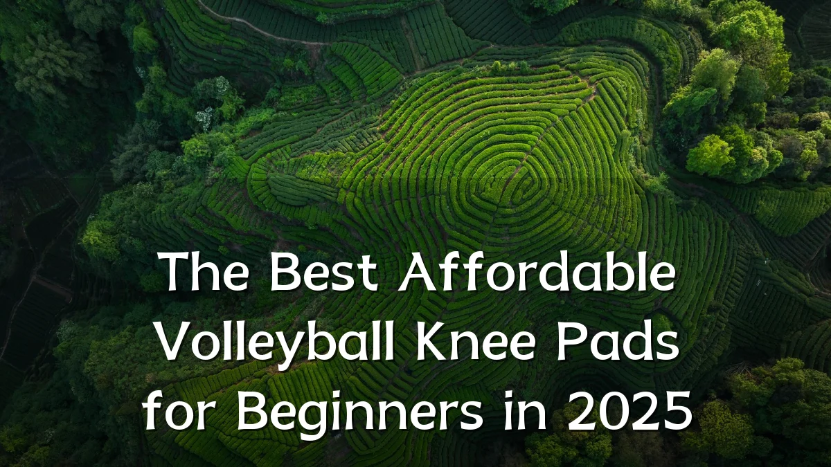The Best Affordable Volleyball Knee Pads for Beginners in 2025