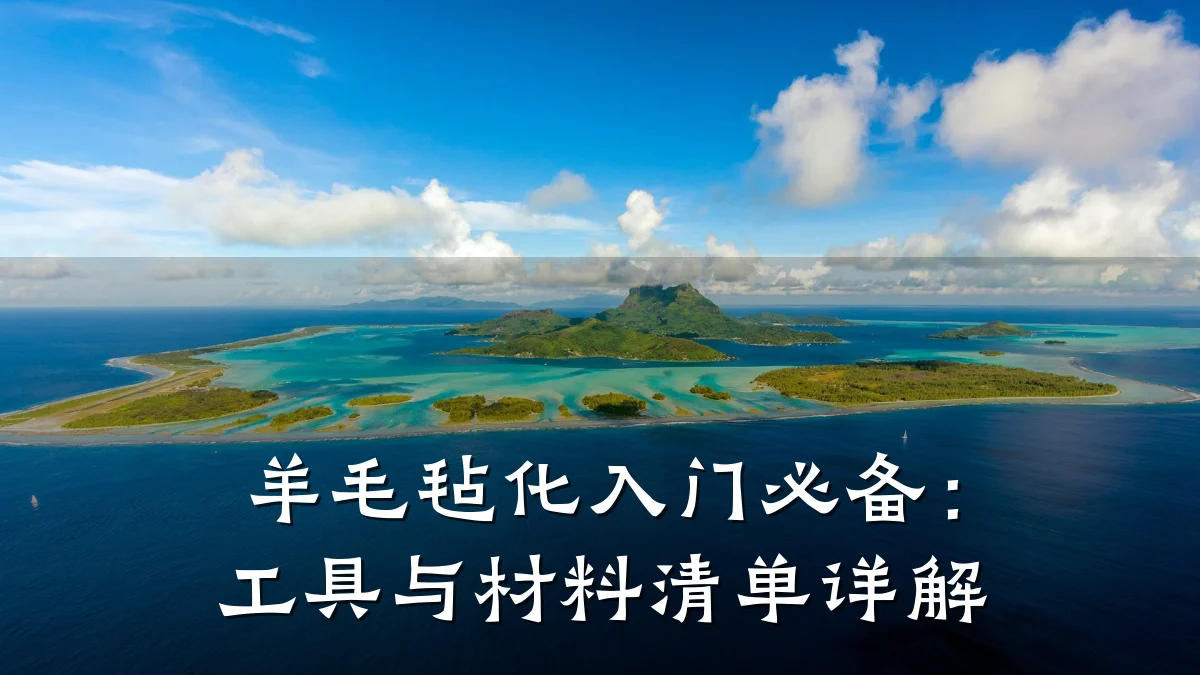 羊毛毡化入门必备：工具与材料清单详解