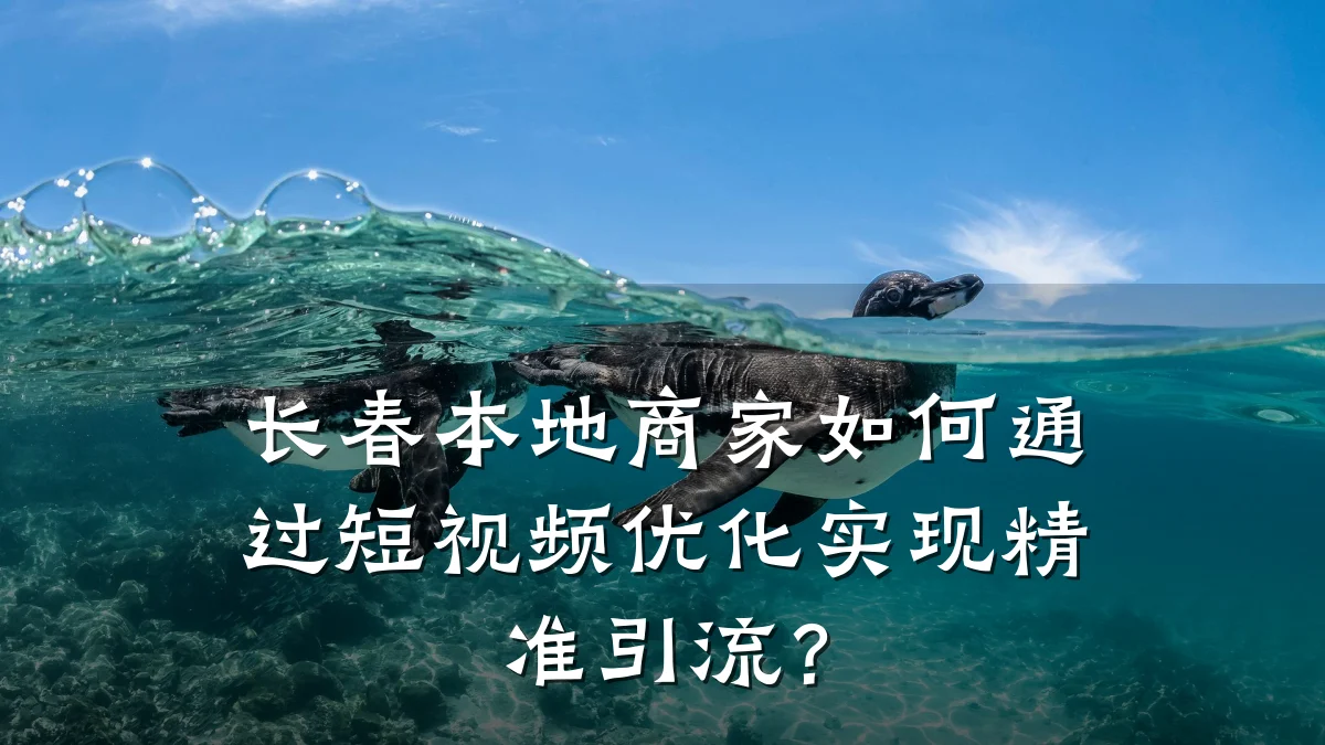 长春本地商家如何通过短视频优化实现精准引流？
