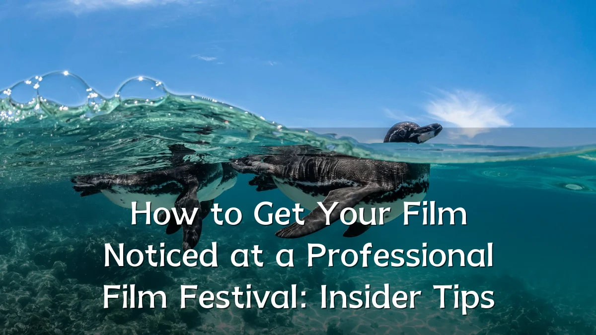 How to Get Your Film Noticed at a Professional Film Festival: Insider Tips