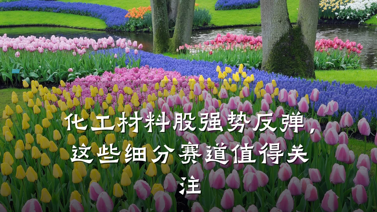 化工材料股强势反弹,这些细分赛道值得关注