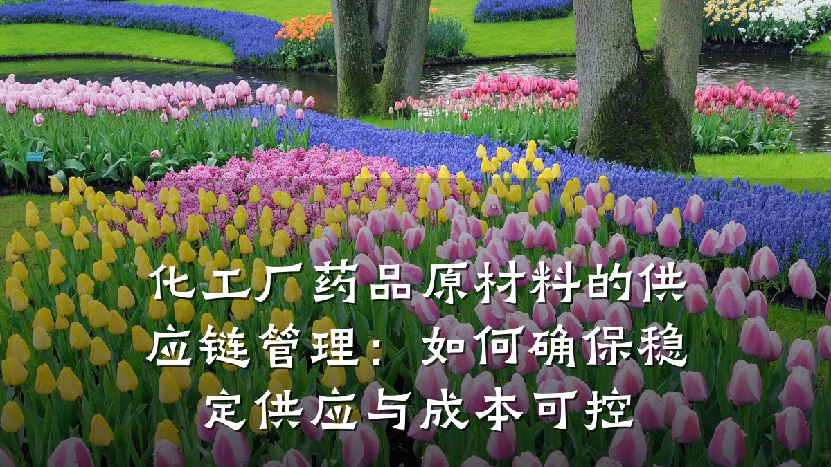 化工厂药品原材料的供应链管理:如何确保稳定供应与成本可控