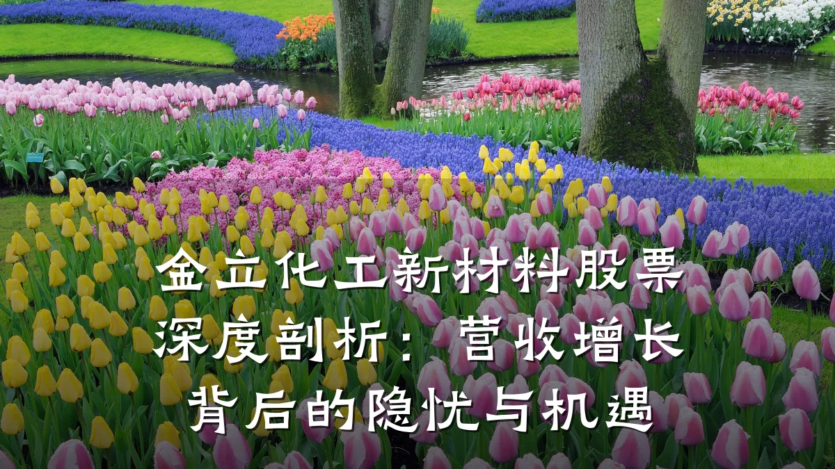 金立化工新材料股票深度剖析：营收增长背后的隐忧与机遇