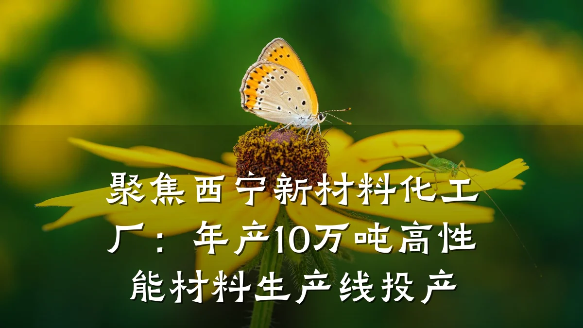 聚焦西宁新材料化工厂:年产10万吨高性能材料生产线投产