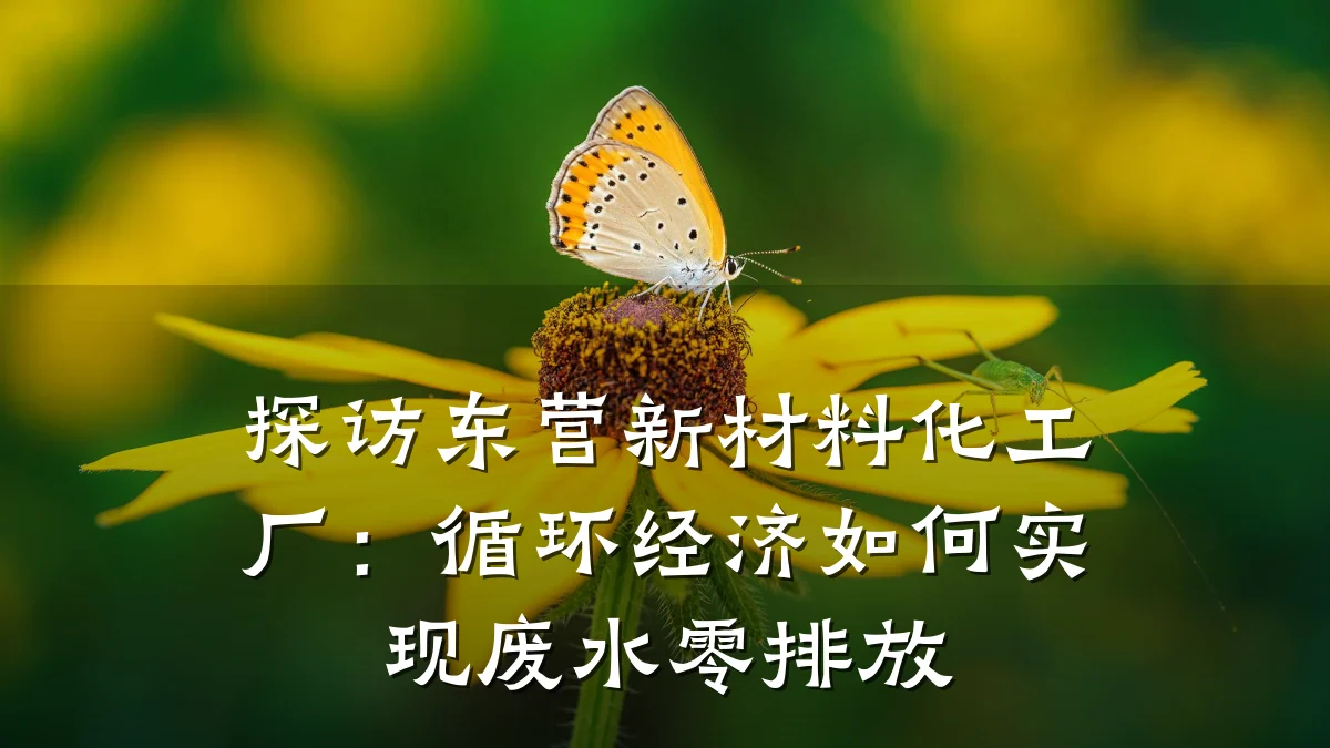 探访东营新材料化工厂：循环经济如何实现废水零排放