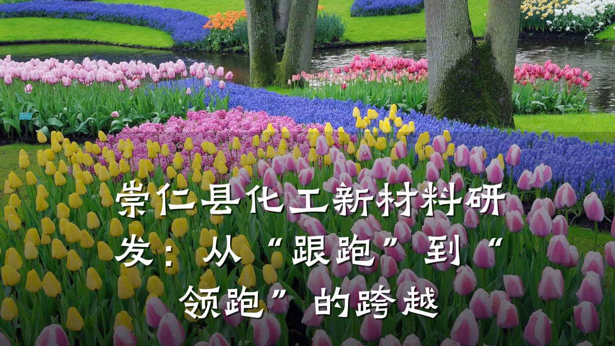 崇仁县化工新材料研发：从“跟跑”到“领跑”的跨越