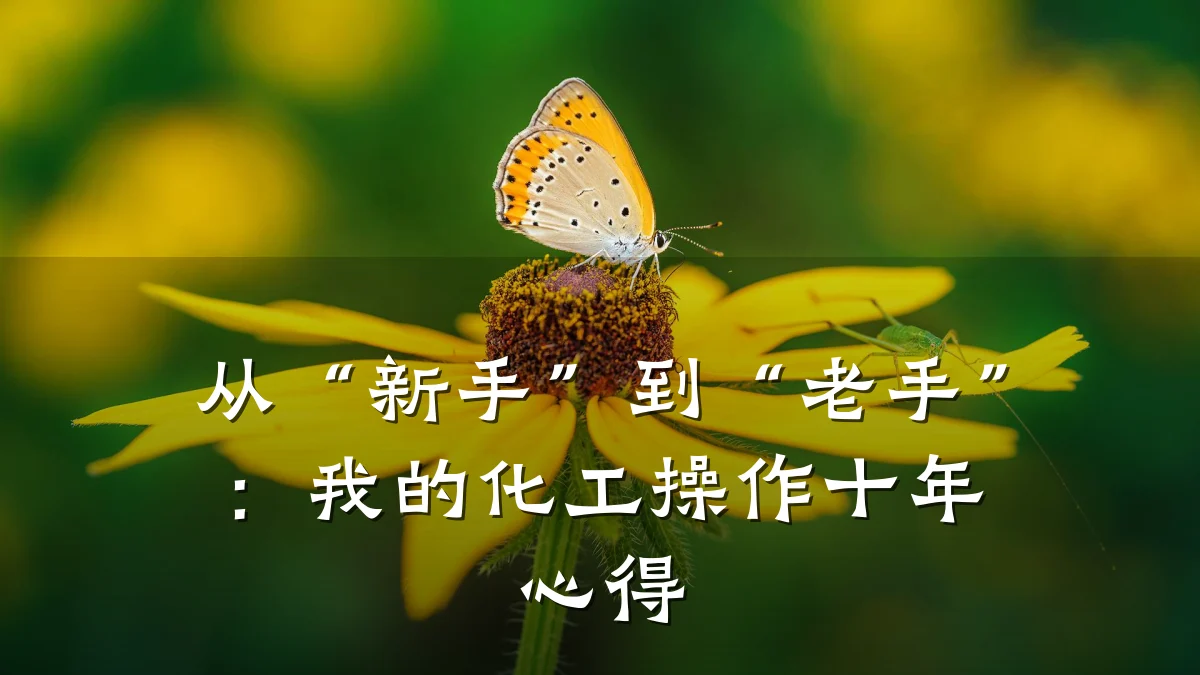 从“新手”到“老手”：我的化工操作十年心得