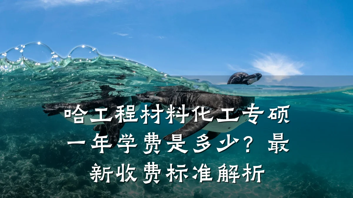 哈工程材料化工专硕一年学费是多少？最新收费标准解析