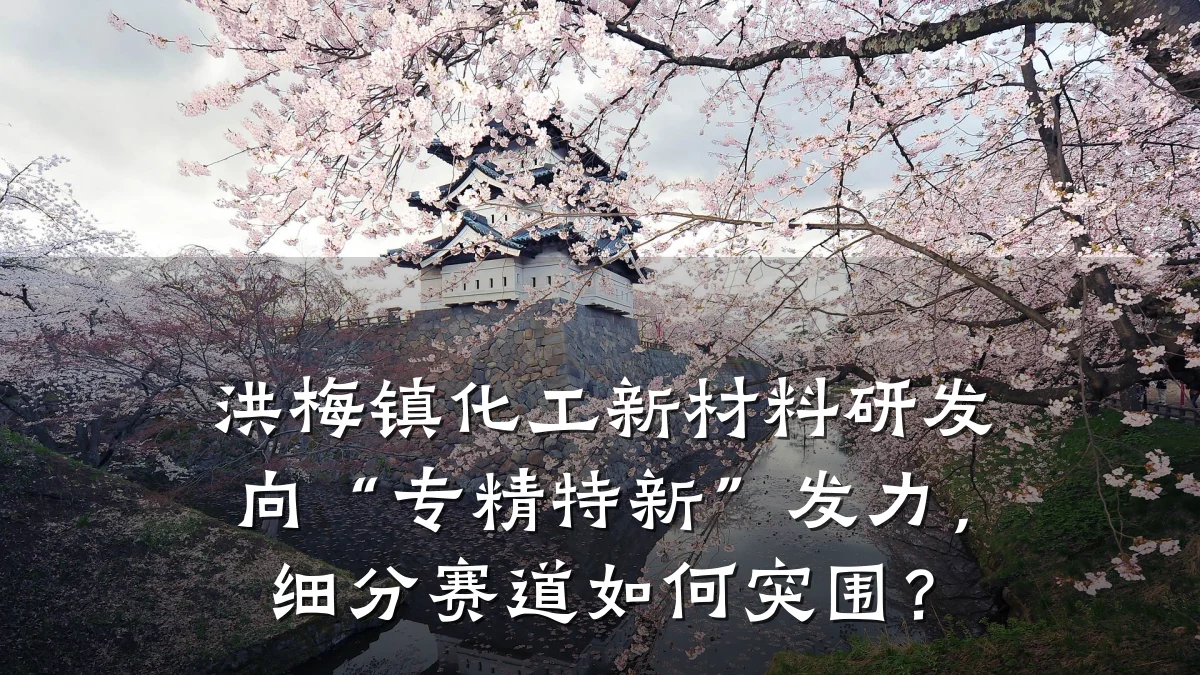 洪梅镇化工新材料研发向“专精特新”发力，细分赛道如何突围？