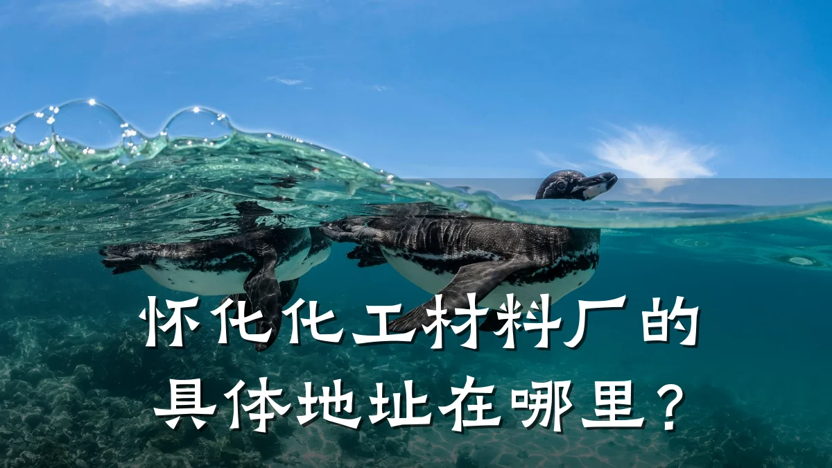 怀化化工材料厂的具体地址在哪里？