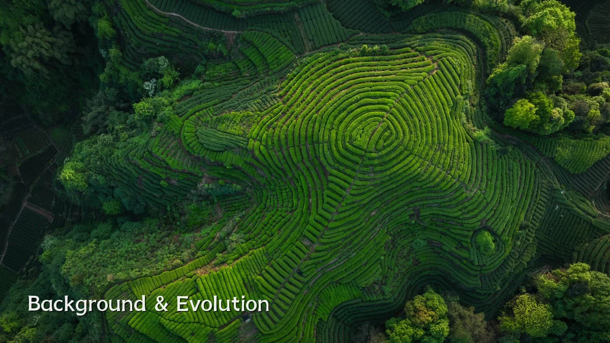 Background & Evolution