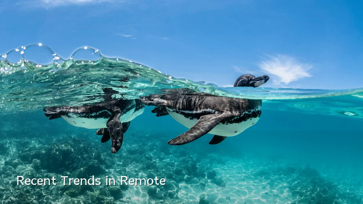 Recent Trends in Remote