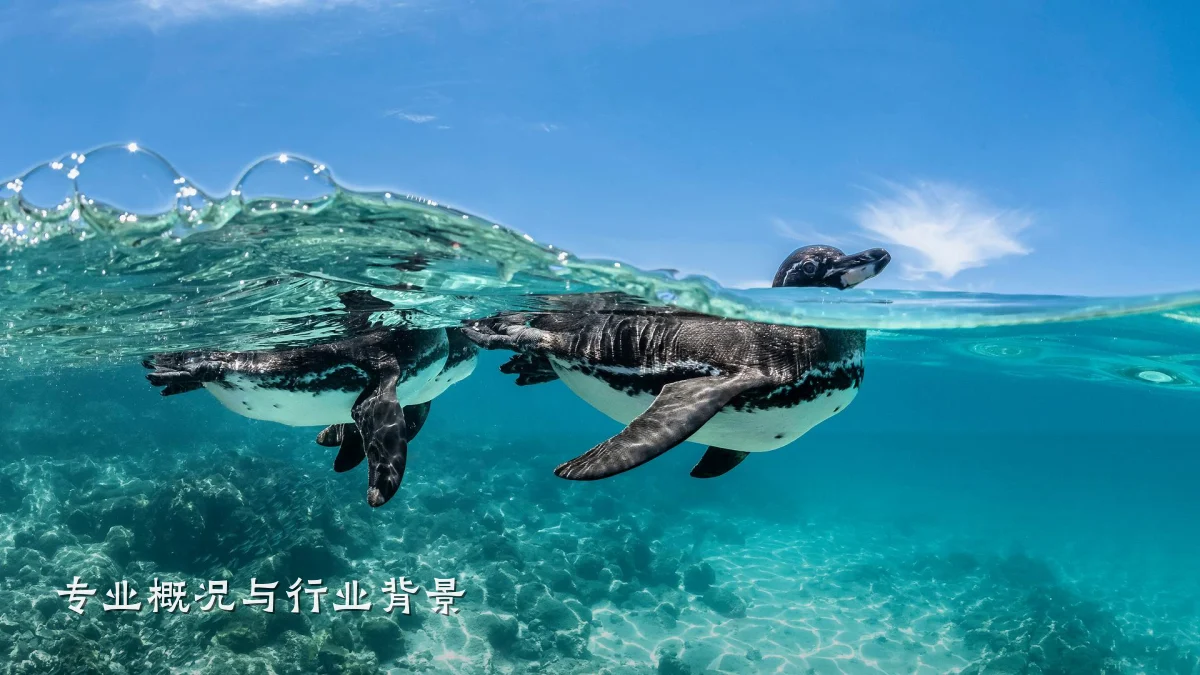 专业概况与行业背景