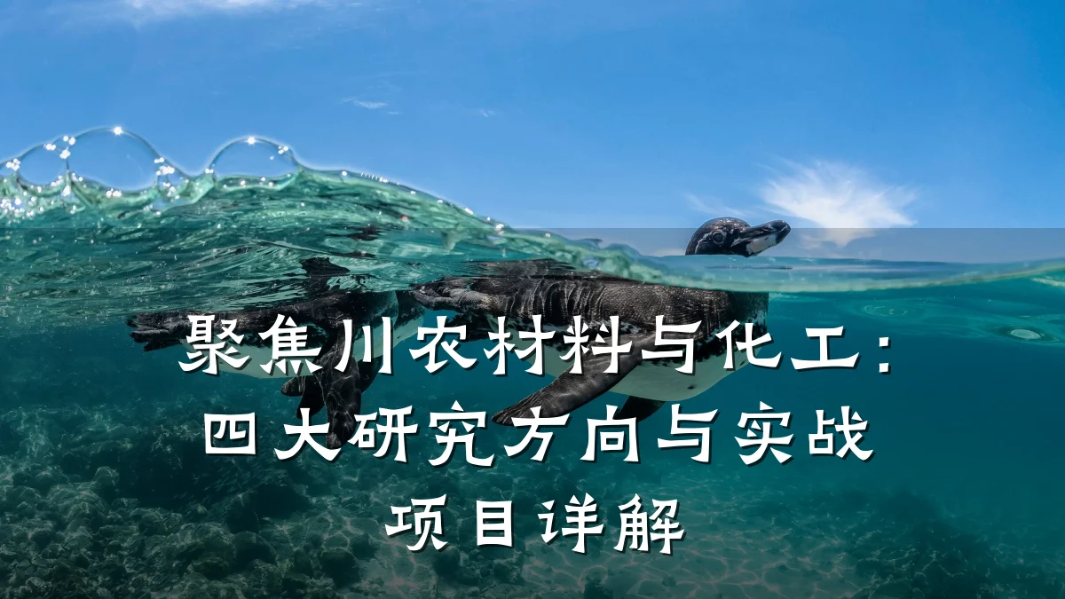 聚焦川农材料与化工:四大研究方向与实战项目详解