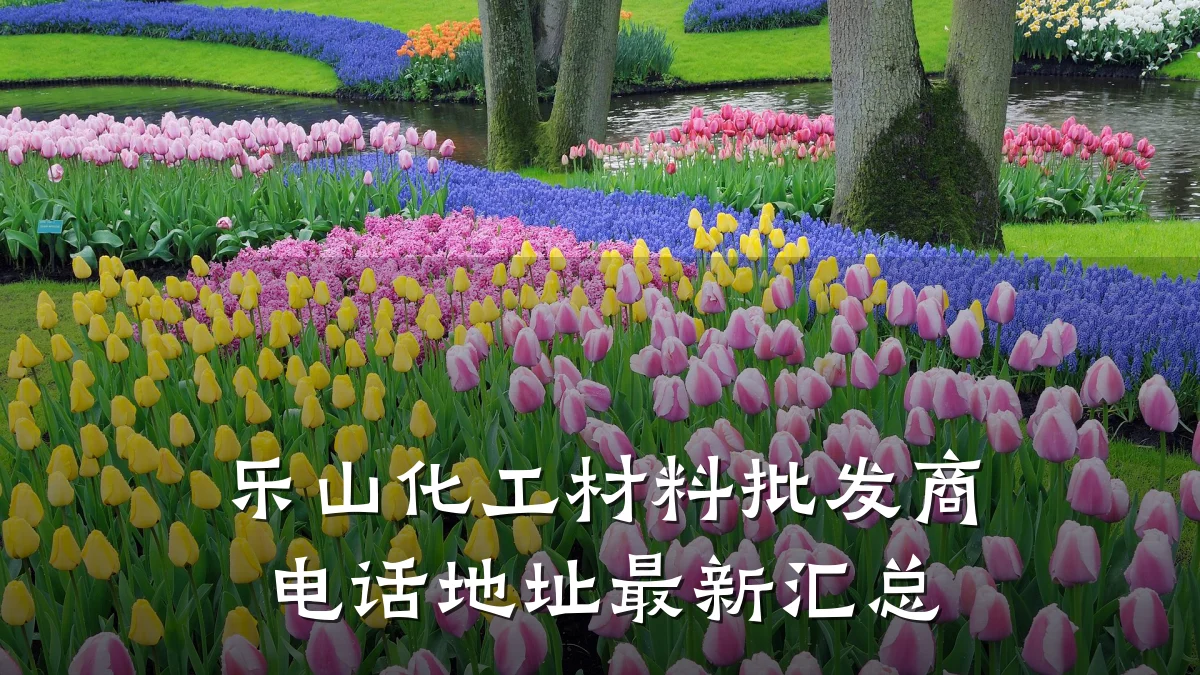 乐山化工材料批发商电话地址最新汇总