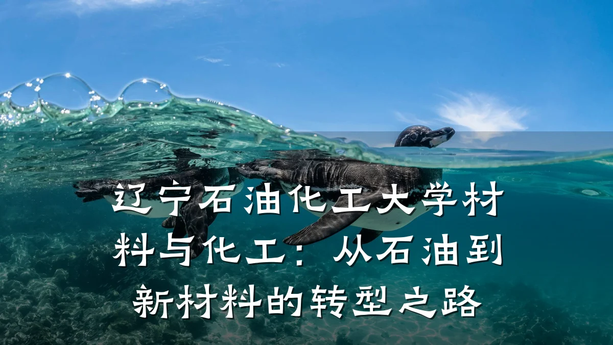 辽宁石油化工大学材料与化工:从石油到新材料的转型之路