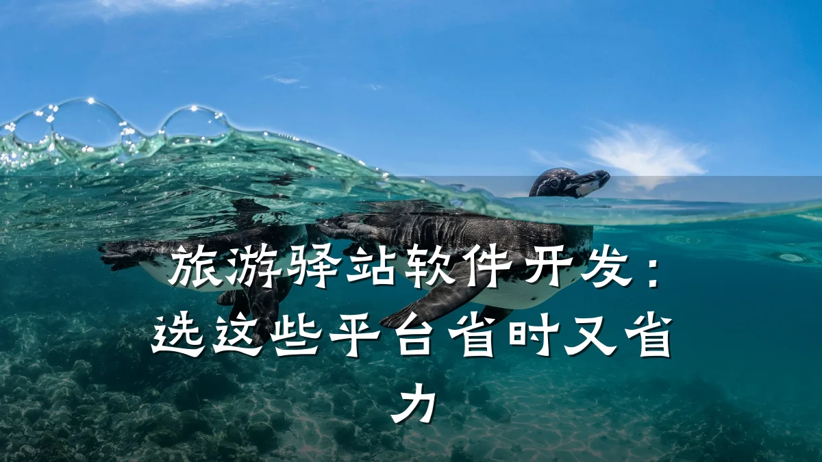 旅游驿站软件开发：选这些平台省时又省力