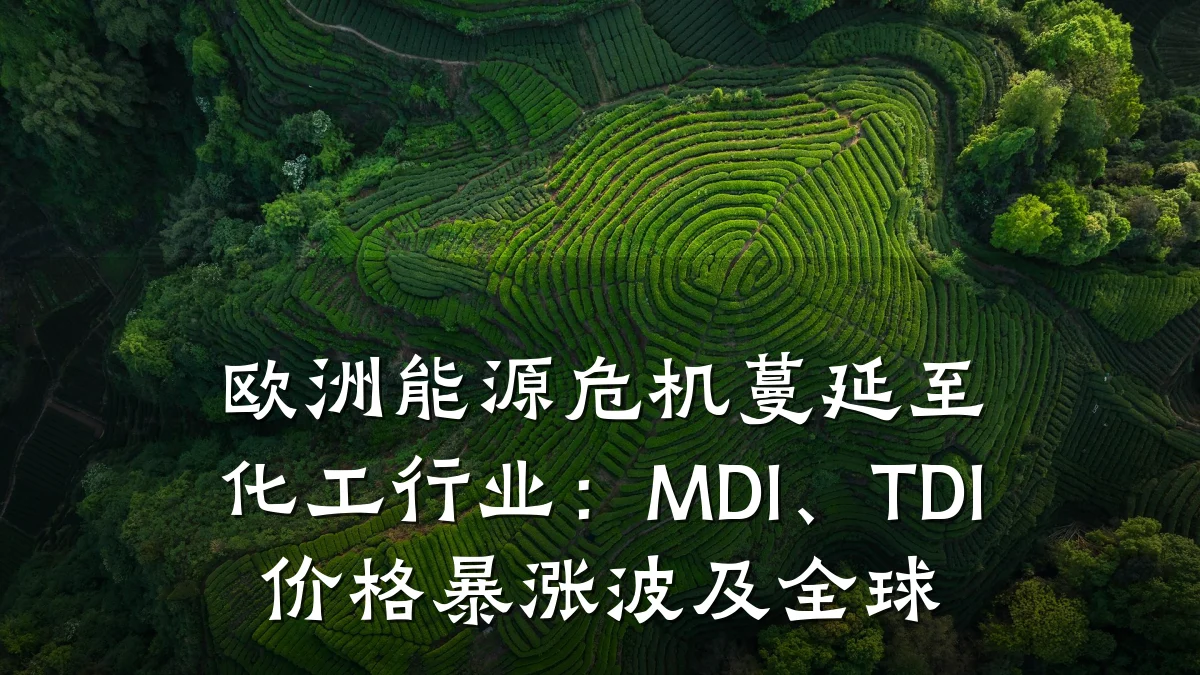 欧洲能源危机蔓延至化工行业:MDI、TDI价格暴涨波及全球