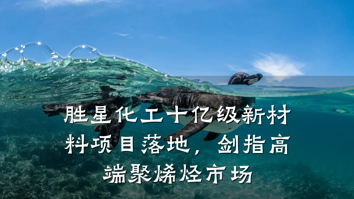 胜星化工十亿级新材料项目落地,剑指高端聚烯烃市场