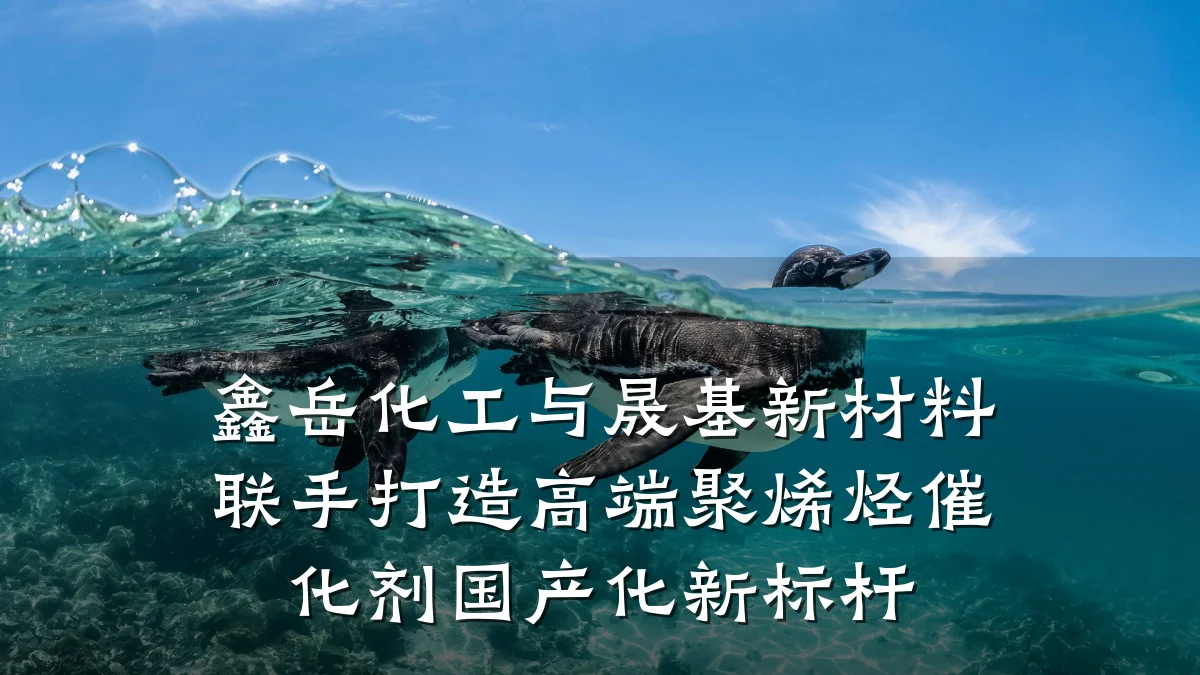 鑫岳化工与晟基新材料联手打造高端聚烯烃催化剂国产化新标杆