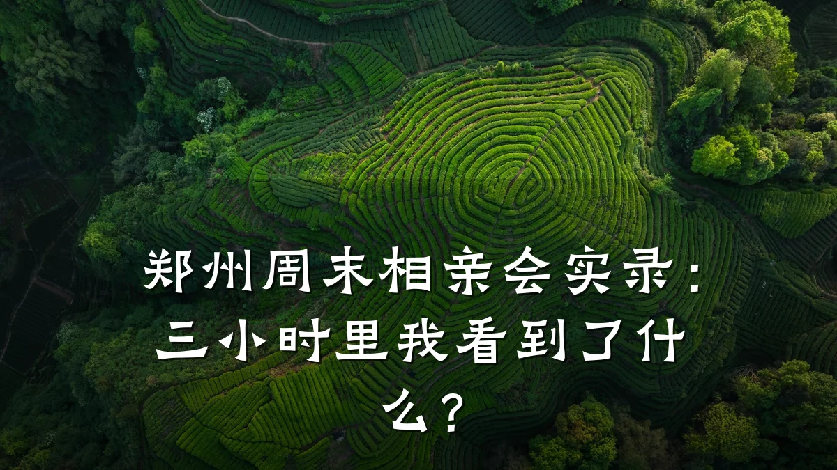郑州周末相亲会实录：三小时里我看到了什么？